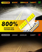 Compare Termitor LED vs halogen headlights brighter white light for improved night visibility
